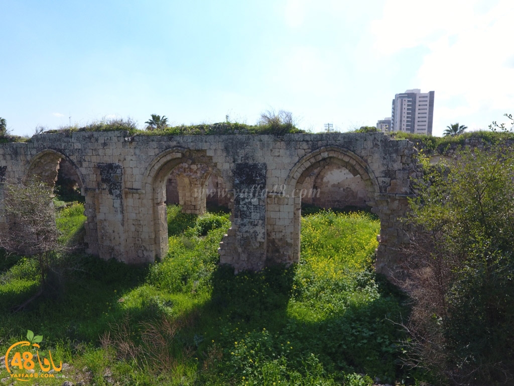 masjed abyad (21).JPG